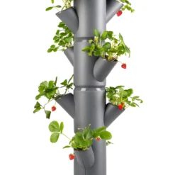 Sissi Strawberry Erdbeerturm Hanging Anthrazit (4 Etagen) | Erdbeertürme Von Gusta Garden 9 Sissi Strawberry Erdbeerturm Hanging Anthrazit (4 Etagen) | Erdbeertürme Von Gusta Garden -Baum Freude Verkäufe 543598 Sissi Strawberry Hanging anthrazit 4 Etagen