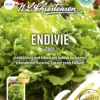 Endivie Eros | Endiviensalatsamen Von N.L. Chrestensen