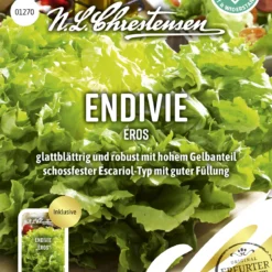 Endivie Eros | Endiviensalatsamen Von N.L. Chrestensen