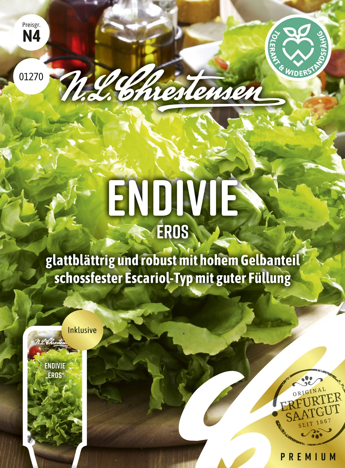 Endivie Eros | Endiviensalatsamen Von N.L. Chrestensen 1 Endivie Eros | Endiviensalatsamen Von N.L. Chrestensen
