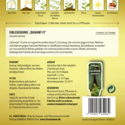 Einlegegurke Diamant F1 | Einlegegurkensamen Von N.L. Chrestensen