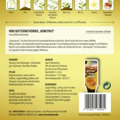 Mini Butternutkürbis Honeynut | Butternutkürbissamen Von N.L. Chrestensen