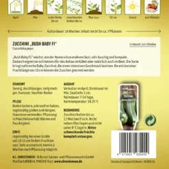 Zucchini Bush Baby F1 | Zucchinisamen Von N.L. Chrestensen