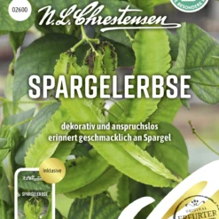 Spargelerbse | Erbsensamen Von N.L. Chrestensen