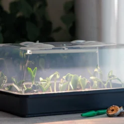 Gewächshaus Lumio M LED | Zimmergewächshaus Von Romberg