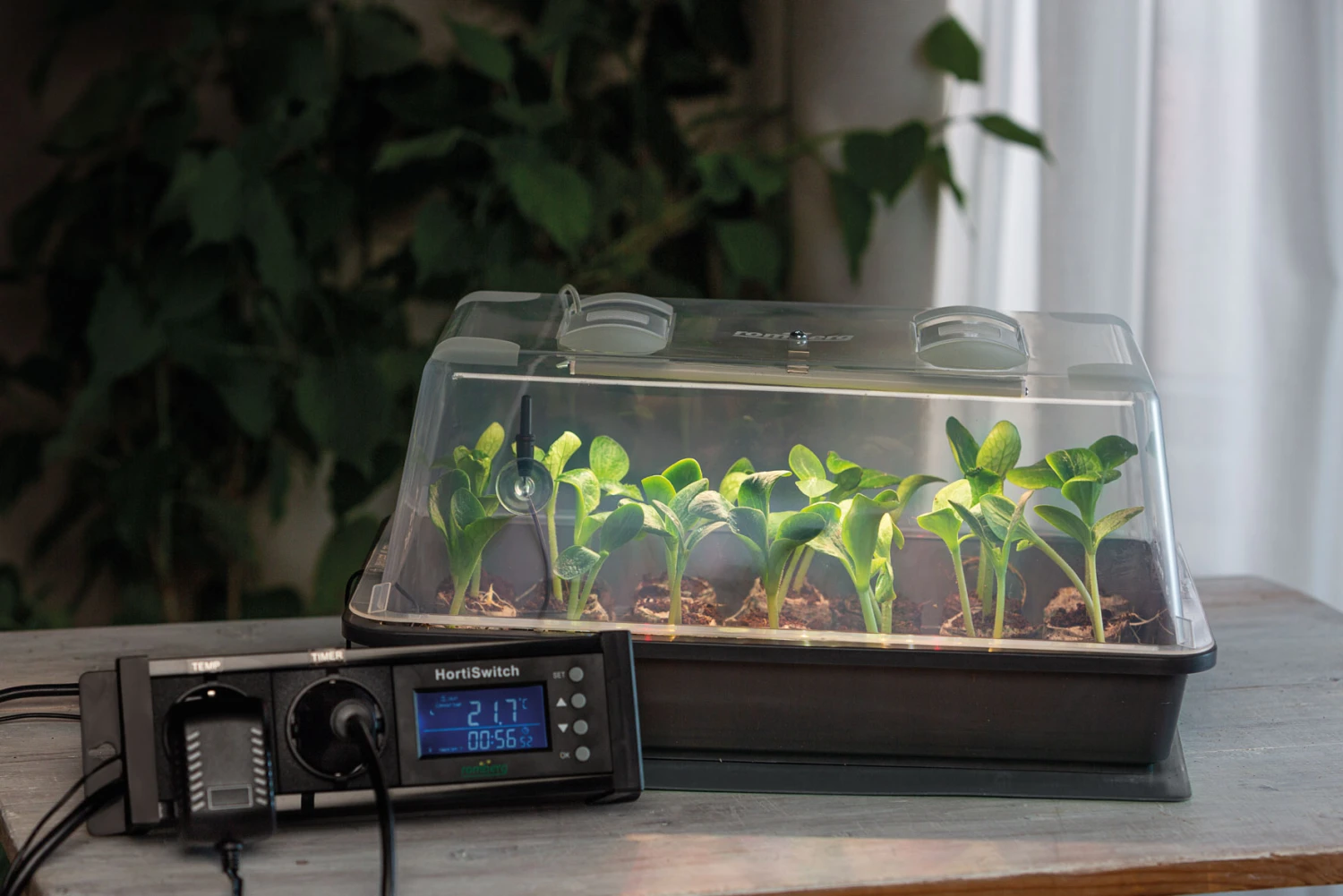 Gewächshaus Climatic M Mit LED | Zimmergewächshaus Von Romberg 1 Gewächshaus Climatic M Mit LED | Zimmergewächshaus Von Romberg