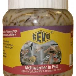Mehlwürmer In Fett Im Glas (240 G) | Mehlwürmer Von GEVO