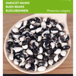 Buschbohne Yin-Yang | Buschbohnensamen Von Buzzy Seeds