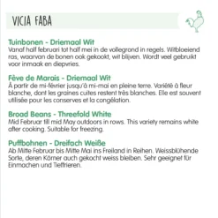 Puffbohnen Dreifach Weiße (250 G) | Puffbohnensamen Von Hortitops