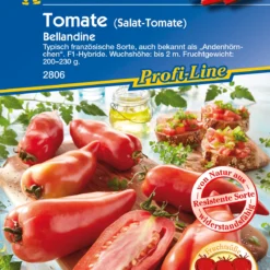 Ausgewählte Produkte -Baum Freude Verkäufe 547437 Tomate Bellandine F1