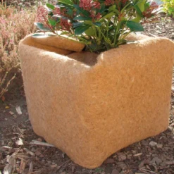 Kokos-Schutzmatte Natur (120 X 35 Cm) | Winterschutz Von Gardissimo