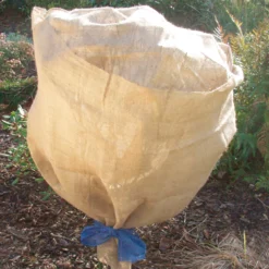 Jute-Schutzvlies Natur (500 X 105 Cm) | Winterschutz Von Gardissimo