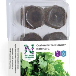 Hydroponik-Quelltablette Koriander (6 Stück) | Koriandersamen Von Nelson Garden