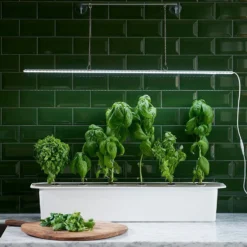 LED-Pflanzenleuchte Mit Adapter 23W (85 Cm) | Beleuchtung Von Nelson Garden -Baum Freude Verkäufe 547623 LED Pflanzeneuchte mit Adapter 23W 85 cm 5567A ng 2