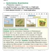 Buschbohne Nassau | BIO Buschbohnensamen Von Austrosaat