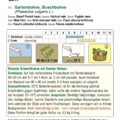 Buschbohne Nassau | BIO Buschbohnensamen Von Austrosaat