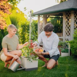 Tom Tomato Tomatentopf Hellgrau | Tomatentöpfe Von Gusta Garden -Baum Freude Verkäufe 547957 Tom Tomato Hellgrau 4