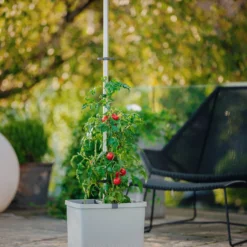 Tom Tomato Tomatentopf Hellgrau | Tomatentöpfe Von Gusta Garden -Baum Freude Verkäufe 547957 Tom Tomato Hellgrau 5