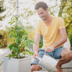 Tom Tomato Tomatentopf Hellgrau | Tomatentöpfe Von Gusta Garden -Baum Freude Verkäufe 547957 Tom Tomato Hellgrau 8