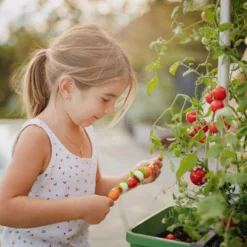 Tom Tomato Tomatentopf Dunkelgrün | Tomatentöpfe Von Gusta Garden -Baum Freude Verkäufe 547958 Tom Tomato Dunkelgruen 3