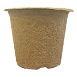 7 X 10,5 Cm Anzuchttopf NT Rund (800 Stück) | Anzuchttöpfe Von Fertil 5 7 X 10,5 Cm Anzuchttopf NT Rund (800 Stück) | Anzuchttöpfe Von Fertil -Baum Freude Verkäufe 548139 7 x 10 5 cm Anzuchttoepfe rund 800 Stueck 591 C1 1