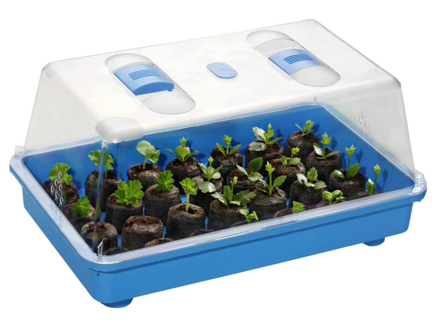 Zimmergewächshaus Marco Blau | Zimmergewächshaus Von Romberg 1 Zimmergewächshaus Marco Blau | Zimmergewächshaus Von Romberg