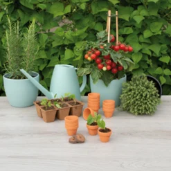 4 X 4,8 Cm Terracotta Töpfe (12 Stück) | Anzuchttöpfe Von Sogo -Baum Freude Verkäufe 548517 4 x 4 8 cm Terracotta Toepfe 12 Stueck 887320 sg 3