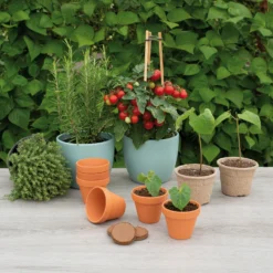 6,8 X 8 Cm Terracotta Töpfe (7 Stück) | Anzuchttöpfe Von Sogo