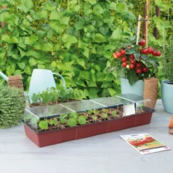 Fensterbank Gewächshaus | Zimmergewächshaus Von Sogo -Baum Freude Verkäufe 548522 Fensterbank Gewaechshaus 887340 sg 2