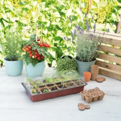 Gewächshaus (18 Töpfe) | Zimmergewächshaus Von Sogo -Baum Freude Verkäufe 548523 Gewaechshaus mit 18 Toepfe 887342 sg 2