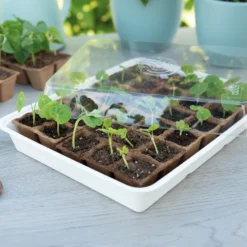 Eco Propagator (30 Töpfe) | Anzuchtschalen Von Sogo 7 Eco Propagator (30 Töpfe) | Anzuchtschalen Von Sogo -Baum Freude Verkäufe 548526 Eco Propagator mit 30 Torftoepfen 887348 sg 3