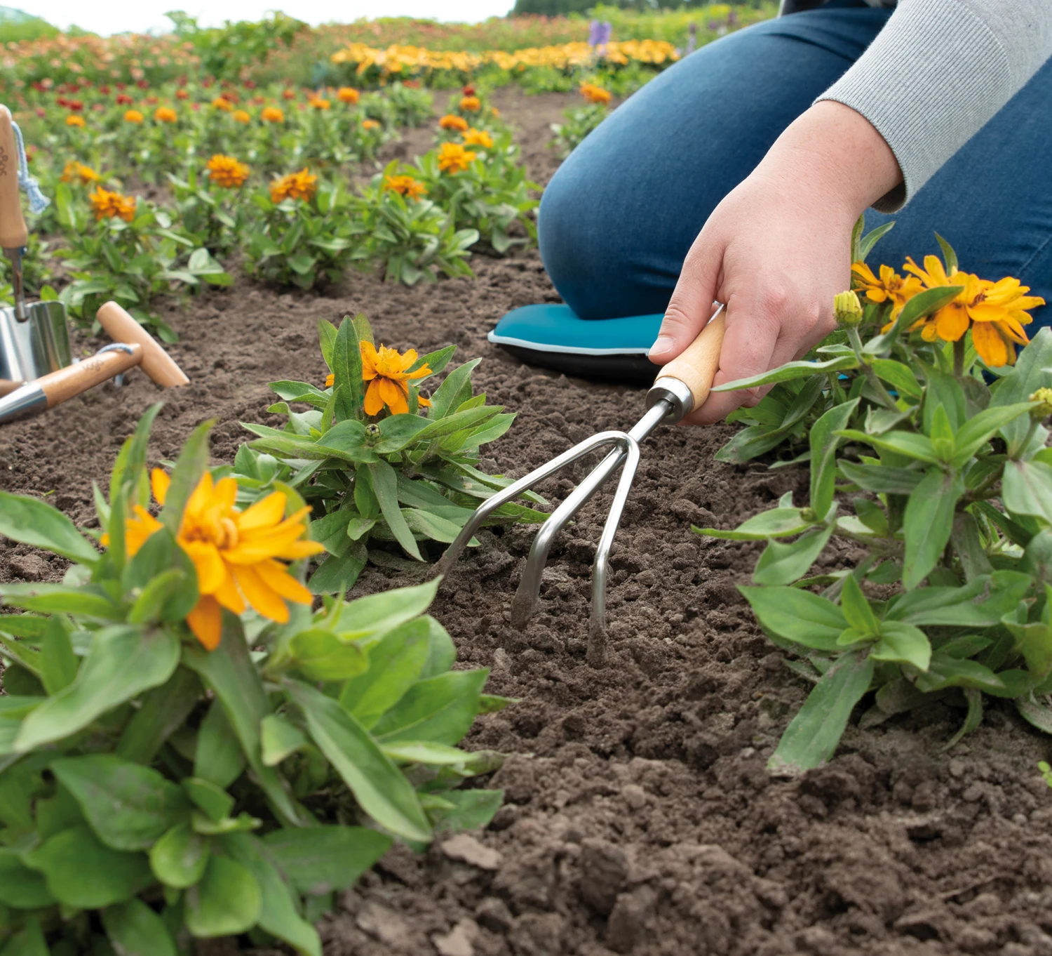 Handharke | Gartengeräte Von Sogo 3 Handharke | Gartengeräte Von Sogo – Bild 3