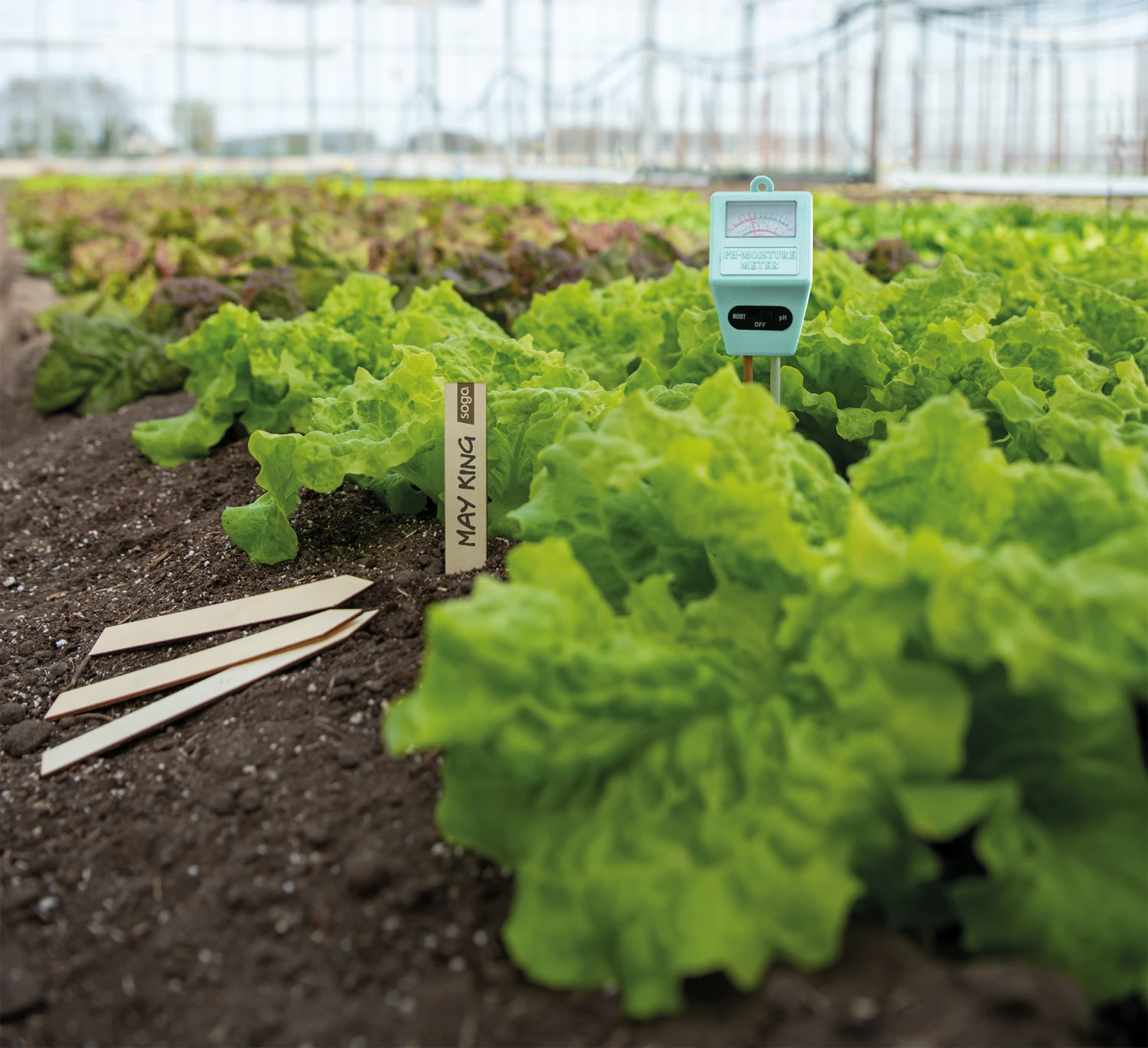 PH Feuchtigkeitsmesser | Gartengeräte Von Sogo 1 PH Feuchtigkeitsmesser | Gartengeräte Von Sogo