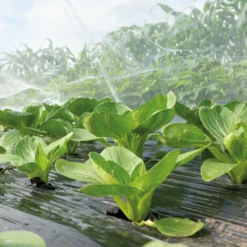 Insektennetz | Gartenzubehör Von Sogo 9 Insektennetz | Gartenzubehör Von Sogo -Baum Freude Verkäufe 548563 Insektennetz 887552 sg 4