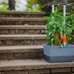 Charly Chili Chilitopf Blau | Chilitöpfe Von Gusta Garden