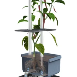 Charly Chili Chilitopf Blau | Chilitöpfe Von Gusta Garden -Baum Freude Verkäufe 548626 Charly Chili Chilitopf blau 104710 gg 2