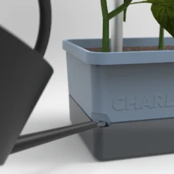 Charly Chili Chilitopf Blau | Chilitöpfe Von Gusta Garden -Baum Freude Verkäufe 548626 Charly Chili Chilitopf blau 104710 gg 3