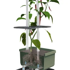 Charly Chili Chilitopf Dunkelgrün | Chilitöpfe Von Gusta Garden -Baum Freude Verkäufe 548627 Charly Chili Chilitopf dunkelgruen 103710 gg 2