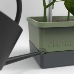 Charly Chili Chilitopf Dunkelgrün | Chilitöpfe Von Gusta Garden