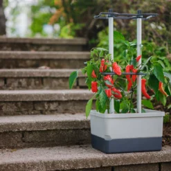 Charly Chili Chilitopf Hellgrau | Chilitöpfe Von Gusta Garden