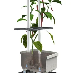 Charly Chili Chilitopf Hellgrau | Chilitöpfe Von Gusta Garden -Baum Freude Verkäufe 548628 Charly Chili Chilitopf hellgrau 100710 gg 2