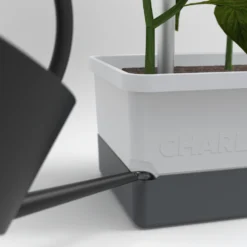 Charly Chili Chilitopf Hellgrau | Chilitöpfe Von Gusta Garden -Baum Freude Verkäufe 548628 Charly Chili Chilitopf hellgrau 100710 gg 3