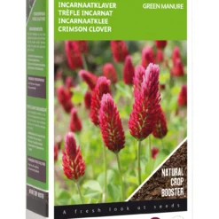 Gründünger Inkarnatklee (200 G) | Gründünger Von Buzzy Seeds