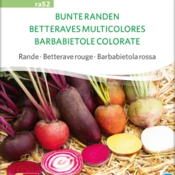 Bunte Randen (Rote Rübe) | BIO Rübensamen Von Sativa Rheinau