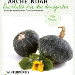 Winterkürbis Reigel | BIO Kürbissamen Von Arche Noah