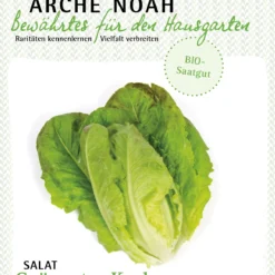 Salat Grünroter Karlov | BIO Salatsamen Von Arche Noah