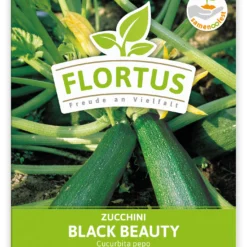 Zucchini Black Beauty (100 Stück) | Zucchinisamen Von FLORTUS