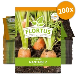 Möhre Nantaise 2 (100 Stück) | Möhrensamen Von FLORTUS -Baum Freude Verkäufe 549855 Moehre Nantaise 2 100 Stueck 2000 0472 100x 0