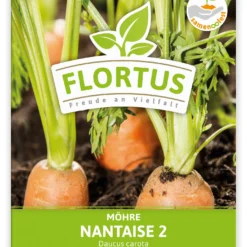 Möhre Nantaise 2 (100 Stück) | Möhrensamen Von FLORTUS