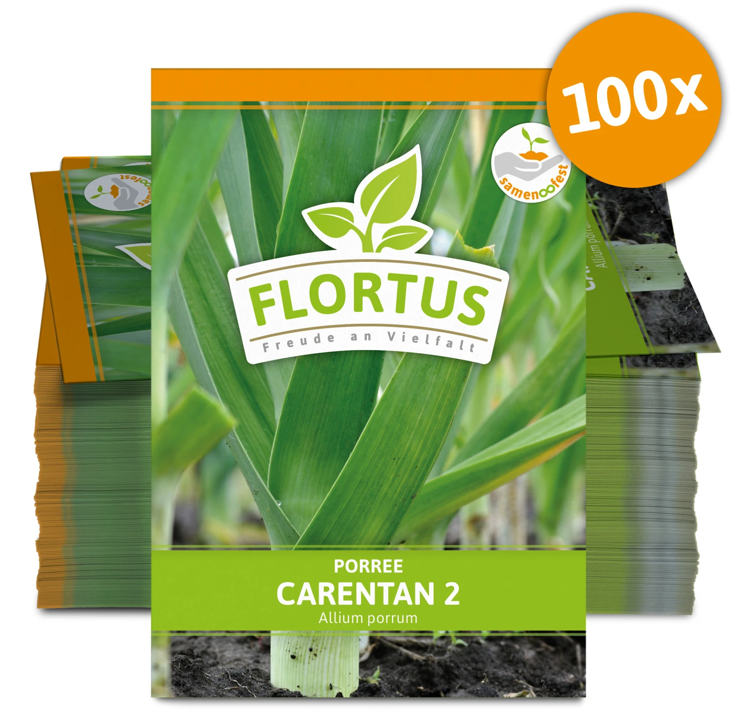 Lauch-Porree Carentan 2 (100 Stück) | Lauchsamen Von FLORTUS 1 Lauch-Porree Carentan 2 (100 Stück) | Lauchsamen Von FLORTUS